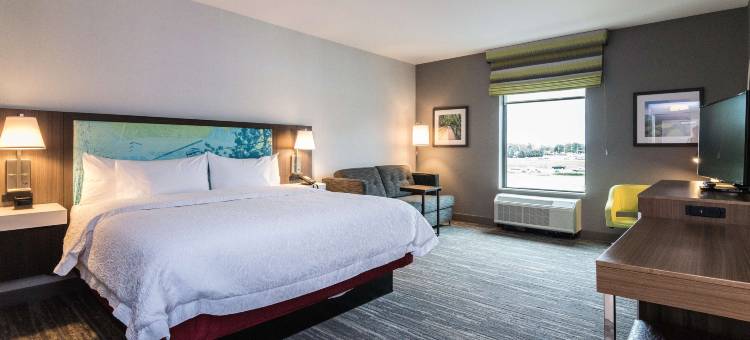 艾伦公园欢朋套房酒店(Hampton Inn & Suites Detroit/Allen Park)图片
