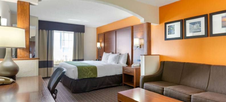 舒适套房酒店-史蒂文斯维尔圣约瑟夫(Comfort Suites Stevensville - St Joseph)图片