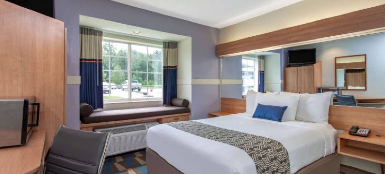 利灵顿-近坎贝尔大学麦客达套房酒店(Microtel Inn & Suites by Wyndham Lillington / Campbell Univ)图片