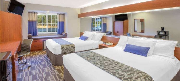 麦尼斯蒂麦客达套房酒店(Microtel Inn & Suites by Wyndham Manistee)图片