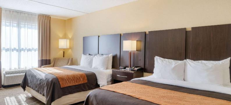 舒适套房酒店(Comfort Inn & Suites)图片