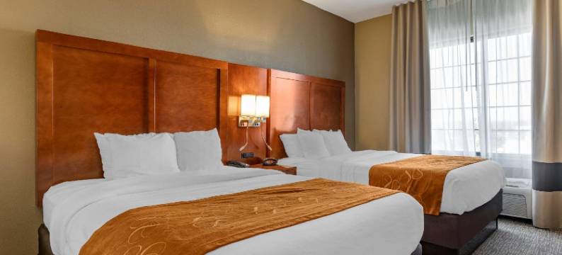 大急流城南舒适套房酒店(Comfort Suites Grand Rapids South)图片