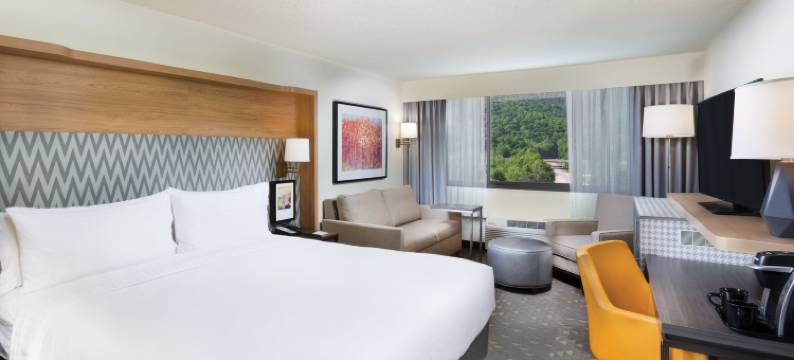 Holiday Inn 阿什维尔，比尔特莫尔东(Holiday Inn ASHEVILLE EAST-BLUE RIDGE PKWY by IHG)图片