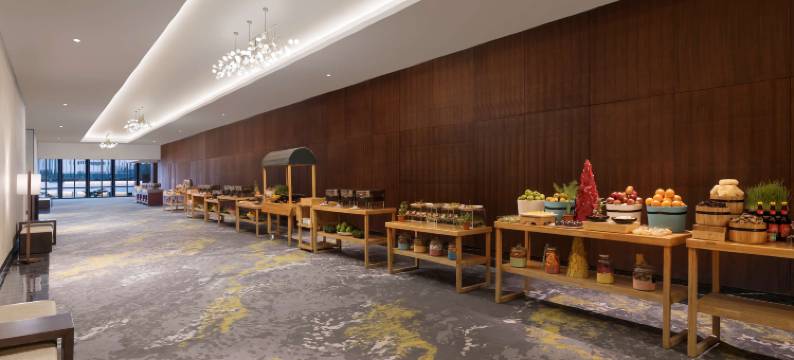 希尔顿花园酒店班加罗尔使馆Manyata商务园(Hilton Garden Inn Bengaluru Embassy Manyata Business Park)图片