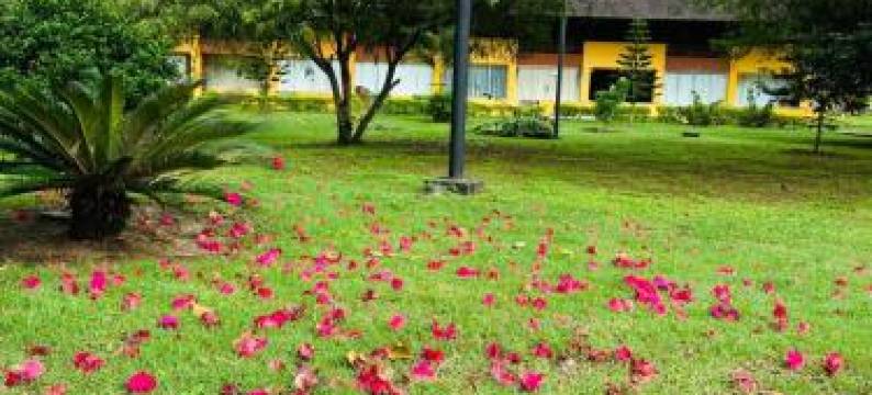 Wintervilleflat904图片