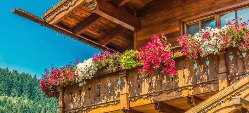 黄昏花酒店 - 限成人(Abendblume)图片