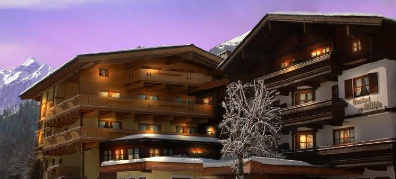 祖尔穆勒酒店(Hotel-Gasthof "Zur Mühle")图片