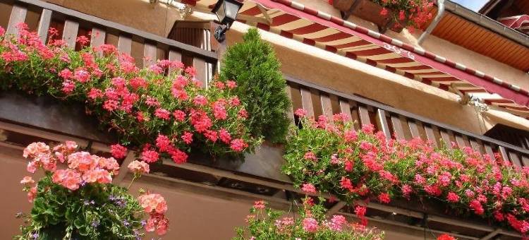 博斯特酒店(Hotel de la Poste)图片