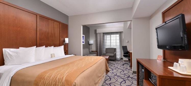 舒适酒店及套房-弗赖拉辛-普莱诺(Comfort Inn & Suites Frisco - Plano)图片