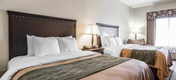 蒙哥马利伊斯特切斯舒适套房酒店(Comfort Inn & Suites Montgomery Eastchase)图片