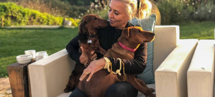 帕尔梅拉之家酒店(Hotel Casa Palmela - Small Luxury Hotels of the World, Hotel & Villas)图片