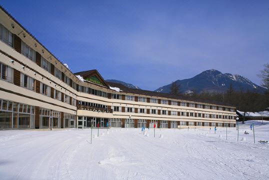 Nikko Astraea Hotel Hotel Overview