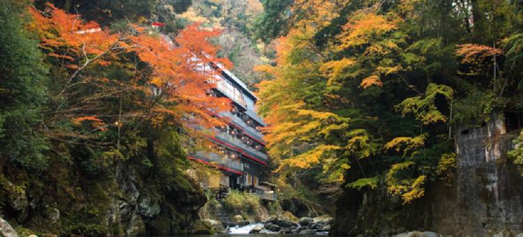 利夫马克斯度假酒店-天城汤岛店(LiVEMAX RESORT AMAGIYUGASHIMA)图片