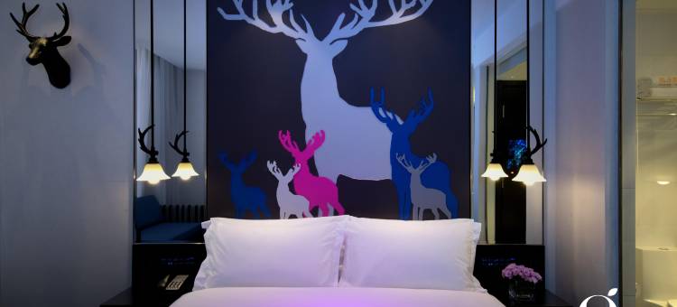 桔子酒店(平顶山万达广场店)图片