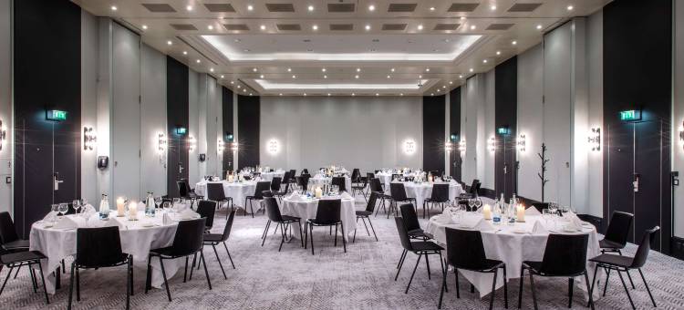 巴塞尔丽笙酒店(Radisson Blu Hotel, Basel)图片