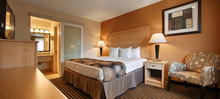 棕榈阁贝斯特韦斯特酒店(Best Western Palm Court Inn)图片