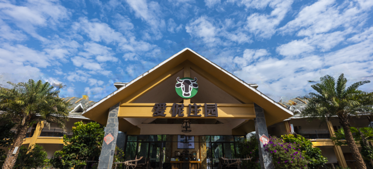 普洱爱伲庄园图片