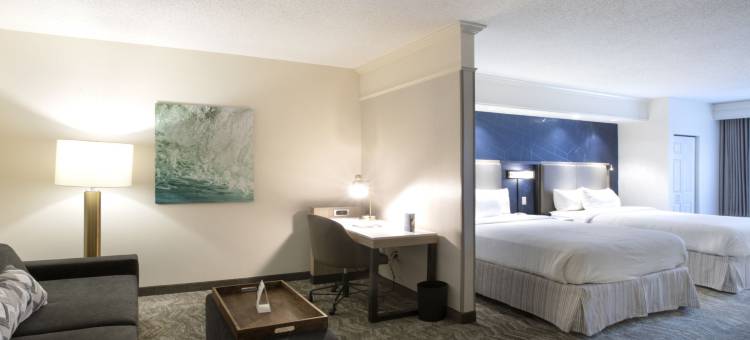 萨凡纳机场万豪SpringHill酒店(SpringHill Suites Savannah Airport)图片