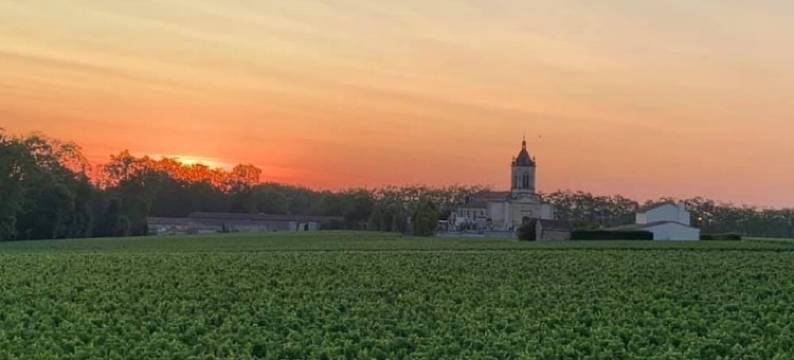 玛歌酒店(玛歌葡萄园的中心地带)(Hotel de Margaux (Nouvelle-Aquitaine))图片