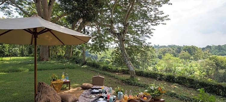 普拉塔兰婆罗浮屠酒店(Plataran Borobudur)图片