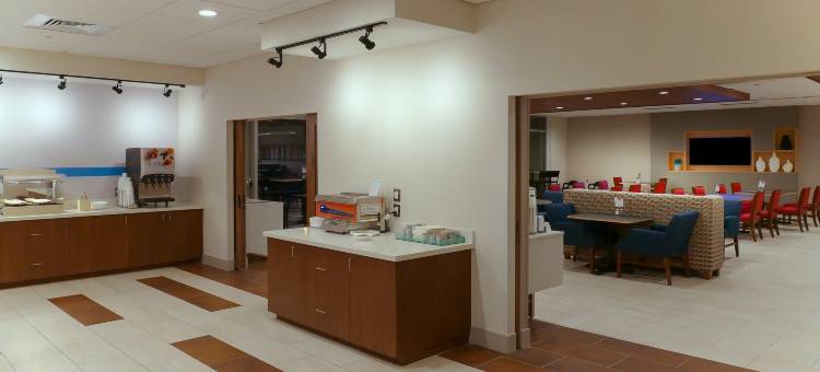 智选假日套房酒店-坦帕东/优博城(Holiday Inn Express & Suites Tampa East - Ybor City)图片