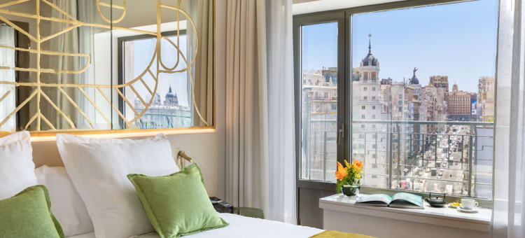 马德里巴塞罗塔酒店(Barceló Torre de Madrid)图片