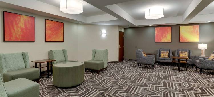 亚特兰大玛丽埃塔德鲁里套房酒店(Drury Inn & Suites Atlanta Marietta)图片