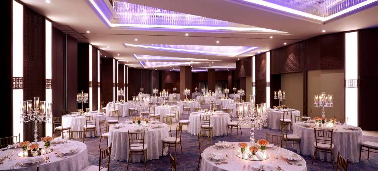 马斯喀特皇家郁金香酒店(Royal Tulip Muscat)图片