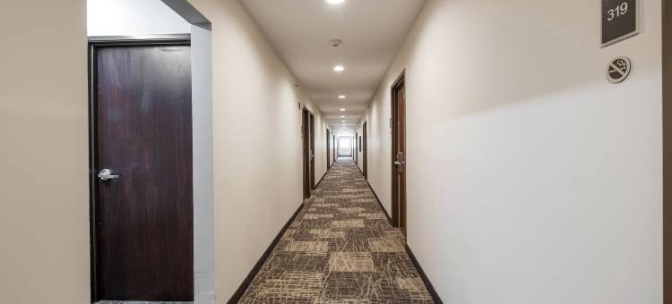 萨尔弗红顶酒店(Red Roof Inn Sulphur)图片