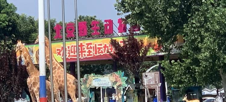 MS公寓(滨湖东街分店)图片