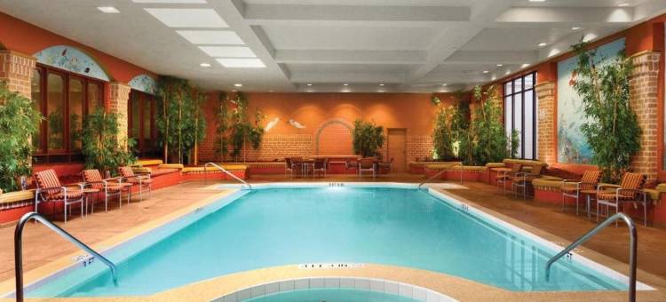 杰克逊维尔海湾牧场希尔顿希尔顿安泊酒店(Embassy Suites by Hilton Jacksonville Baymeadows)图片