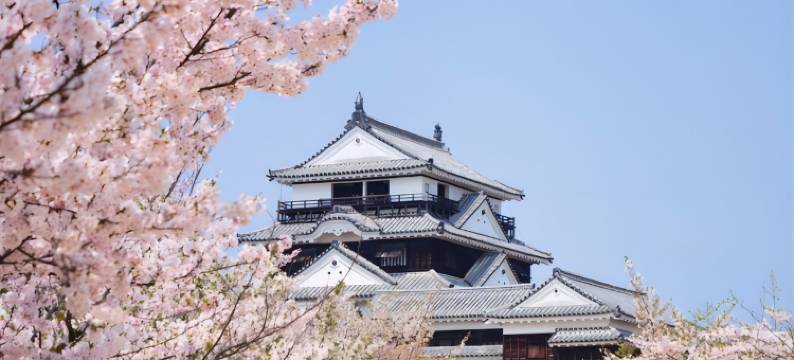 利夫马克斯度假酒店-奥道后店(LiVEMAX RESORT OKUDOGO)图片