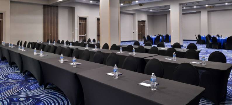 科布斯克里斯提海滨希尔顿逸林酒店及度假村(DoubleTree by Hilton Corpus Christi Beachfront)图片