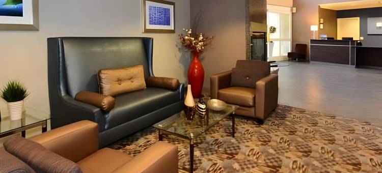 智选假日套房酒店圣克拉拉(Holiday Inn Express & Suites Santa Clara)图片