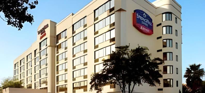 休斯顿医疗中心／nrg 公园万豪SpringHill酒店(SpringHill Suites Houston Medical Center/NRG Park)图片