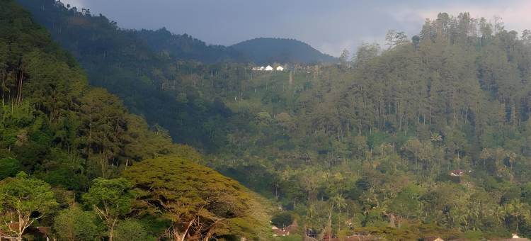 波诺罗戈艾玛利斯酒店(Amaris Hotel Ponorogo)图片