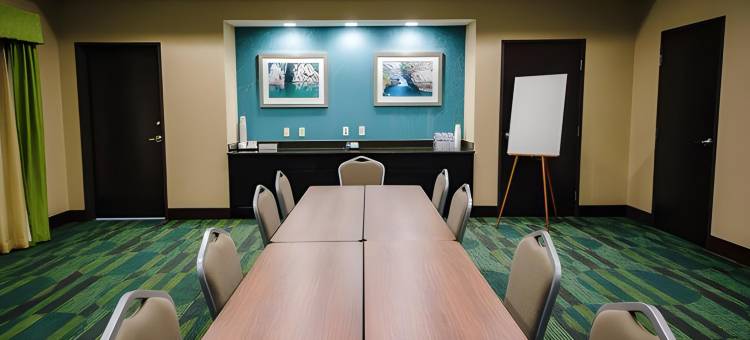 坦普尔医疗中心区智选假日套房酒店(Holiday Inn Express & Suites TEMPLE - MEDICAL CENTER AREA by IHG)图片