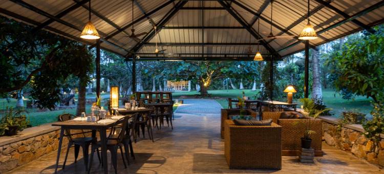 马吉非拉旅馆(The Mangifera)图片