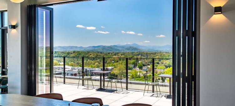 希尔顿使馆套房阿什维尔市中心(Embassy Suites by Hilton Asheville Downtown)图片