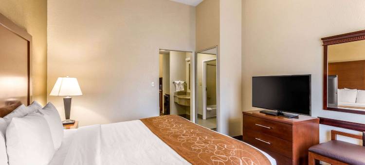 万豪City Express埃尔克里奇酒店(City Express by Marriott Elkridge)图片