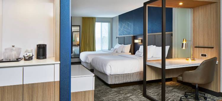 夏洛特卡罗温兹万豪SpringHill Suites酒店(SpringHill Suites Charlotte at Carowinds)图片