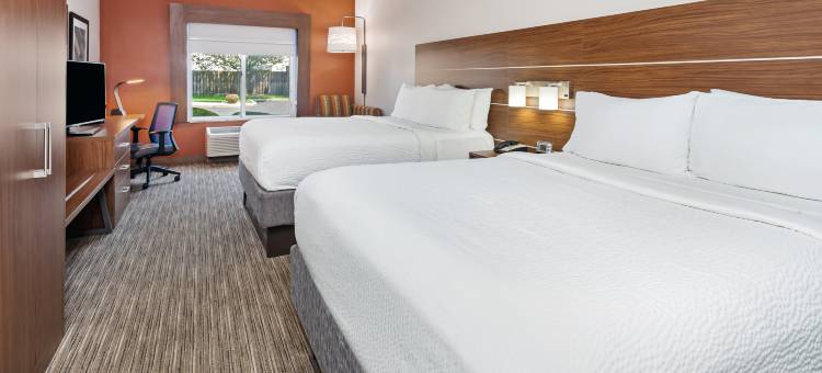 智选假日套房酒店芝加哥南兰辛(Holiday Inn Express & Suites CHICAGO SOUTH LANSING by IHG)图片