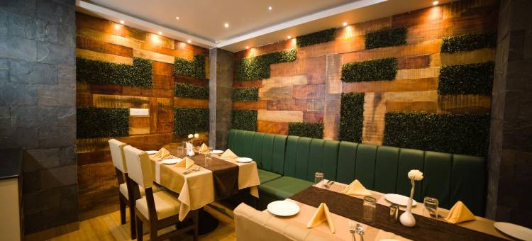 克拉克斯因恩普尔尼亚酒店(Hotel Park Square Purnea)图片