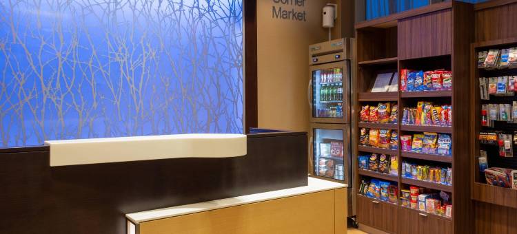 纽约皇后区/新鲜草原万豪万枫酒店(Fairfield Inn & Suites New York Queens/Fresh Meadows)图片