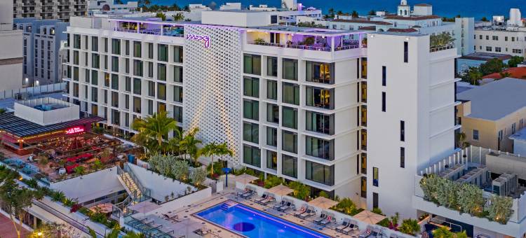 迈阿密海滩南海滩Moxy酒店(Moxy Miami South Beach)图片