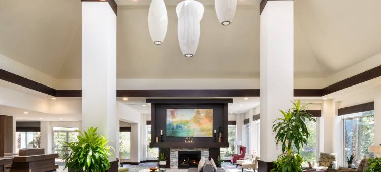 希尔顿花园酒店-亚特兰大桃树市(Hilton Garden Inn Atlanta/Peachtree City)图片