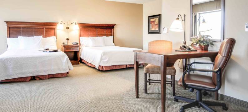 派恩代尔欢朋套房酒店(Hampton Inn & Suites Pinedale)图片