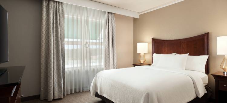 希尔顿安泊酒店-不伦瑞克(Embassy Suites by Hilton Brunswick)图片