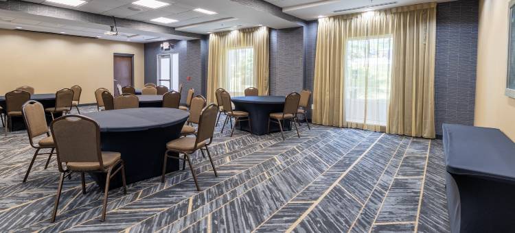 格林斯伯勒/体育馆区希尔顿欢朋套房酒店(Hampton Inn & Suites Greensboro/Coliseum Area)图片