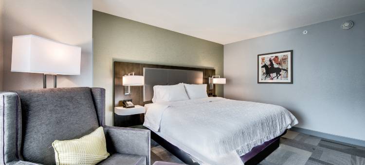 沃斯堡市中心欢朋套房酒店(Hampton Inn & Suites Fort Worth Downtown)图片